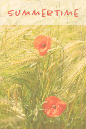 Mohnblüten im Kornfeld mit dem Text Summertime