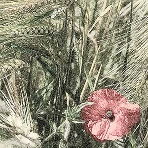 Vorlage für Pinterest mit Kornfeld und Blume in rosa